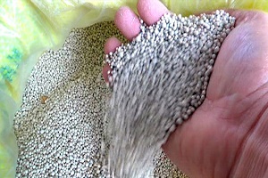 Bakanlık Düğmeye Bastı Bulundurana 4 Yıl Hapis