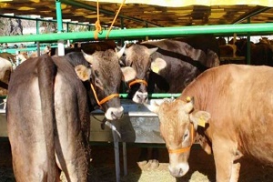 Tarıma Ayrılan Her Kuruş Misliyle Geri Dönüyor