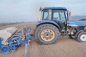 Anıza Ekim Makinası Kar Oranını Artırıyor