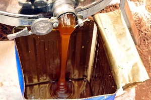 Çam Balı Yüz Güldürdü