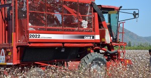 Pamuk ve Soya Hasadında Biçerdöver Ücretleri Belirlendi