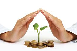 Doğa Sigorta TARSİM Sisteminde