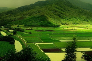 Gelecek Kuşakların Gıda Hakkı Güvence Altına Alınıyor