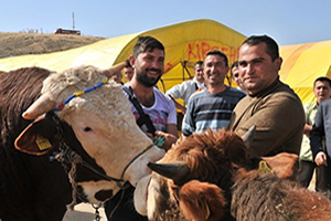 Üretici Kurbanlık Satışlarından Memnun
