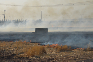 Anız Yakan 179 Kişiye 443 Bin 859 TL Para Cezası Kesildi