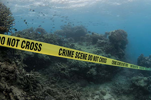 Reng renk Mercan Resifi Ağardı Exxon Biliyordu