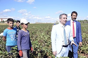 Tarım İşçisi Çocuklara Okul ve Öğretmen Desteği Sağlanacak