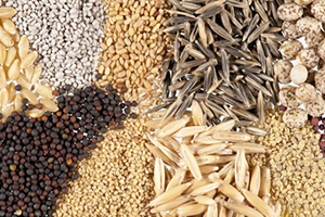 Anadolu nun Kalbi Bu Bankada Atıyor