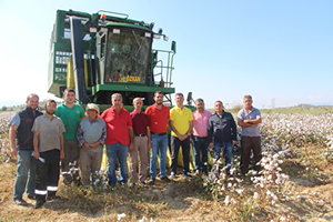 Aydın da Beyaz Altın Hasadı Başladı