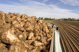 Pankobirlik Genel Müdürü Taşpınar dan Pancar Açıklaması