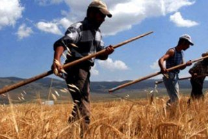 Toprak Analizi Yaptırmayana Destek Yok