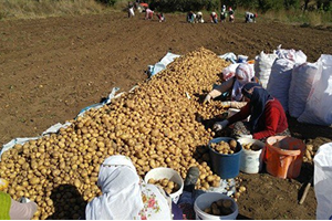 Türkiye de ilk Kez Üretildi Törenle Toplanacak