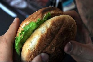 Dünyanın Üçte Biri Obez Olma Yolunda