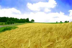 Tarım Ülkesi Almanya