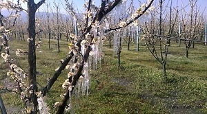 Tarım Kredinizi Ertelemek İçin Ne Yapmalı