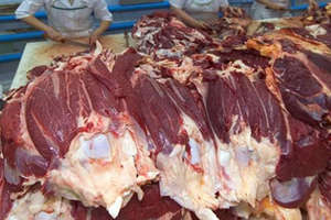 Domuz Kasabına 46 Bin Lira Ceza