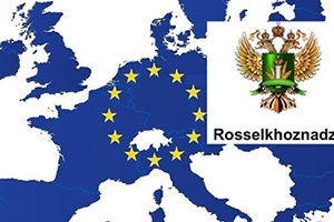 Rusya Mısır a Yönelik Tarım Ürünü Ambargosunu Kaldırıyor