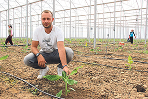 Ege nin İlk ve Tek Muz Serası Açıldı