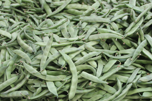 Fasulye Üreticisi Düşük Fiyattan Şikayetçi