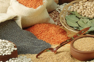 Kuru Bakliyatta 1 5 Milyar Dolarlık İhracat Yapabiliriz