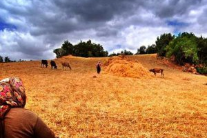Ekim Ayı Tarım Takvimi