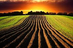 Adana da Desteklenecek Ürünler Açıklandı