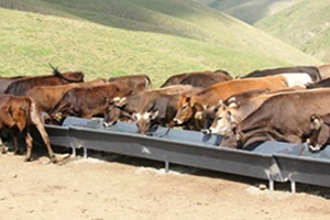 Kahramanmaraş tan Çiftçilerine Yardım