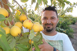 Guava Hasadı Başladı