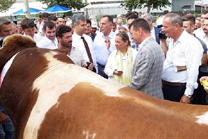 Zeynep Bodur Okyay dan 1 3 Tonluk Simental