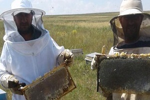 Kağızman Balı Görücüye Çıktı