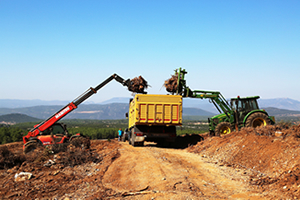 Köklerinde Enerji Var