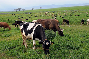 Mera Islah Çalışmalarına Hız Verildi