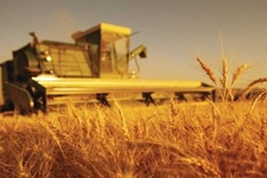 Kırsal Kalkınma Programı Yönetim Otoritesinin Görevleri Belirlendi