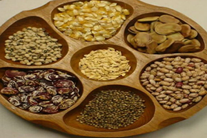 Tohum Takas Ağı Yok Olmaya Yüz Tutan Yerel Tohumları Koruyor