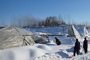 Serada Üretim Düşünce Fiyatlar Artışa Geçti