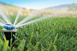 Bireysel Sulama Hibe Desteği Müracaatları Başladı