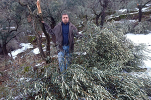 Aydın da Kar Felaketi