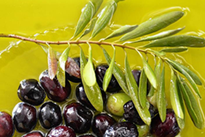 Zeytinyağında Tereciye Tere Sattık