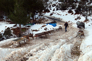 Silifke de Beyaz Bereket