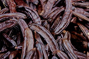 Keçiboynuzuna Talep Arttı