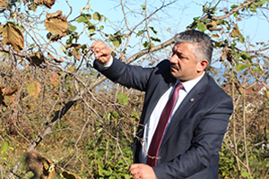 Üreticilere Tarım Sigortası Çağrısı