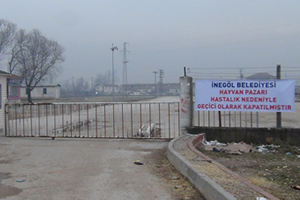 Bursa da İki Mahalle Karantinaya Alındı