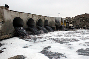 Ergene Zehirden Kurtulacak