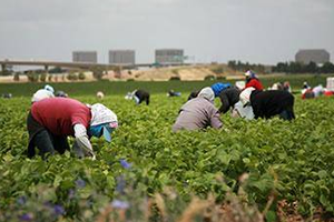 Kayıt Dışı İşçi Gerçeği