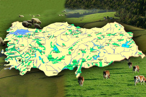 141 Büyük Ova Koruma Alanı Olarak Belirlendi