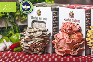 Genç Girişimciler den Mantar Kutusu