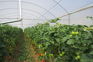 Orman ve Su İşleri Bakanlığı nın Köylülere Desteği Sürüyor