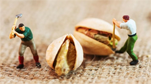 5 Kuruyemişten Ekonomiye 15 8 Milyarlık Katkı