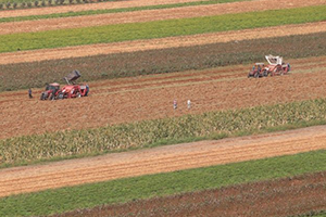 İç Savaş Bir Yandan Geçim Savaşı Bir Yandan