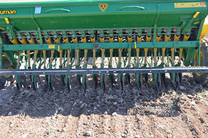 Ekmeğin Toprakta ki Hikayesi Başladı